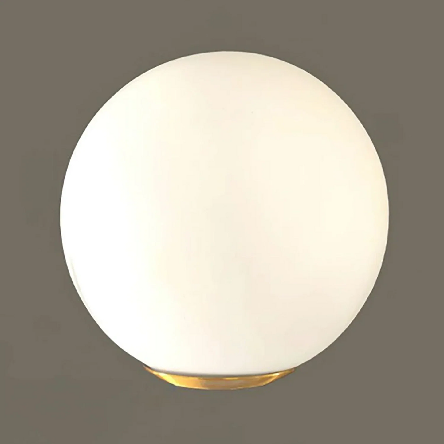 Gingko Pendant Lamp
