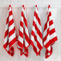 Cotton Velour Cabana Stripe Beach Towel - Novia Collection.