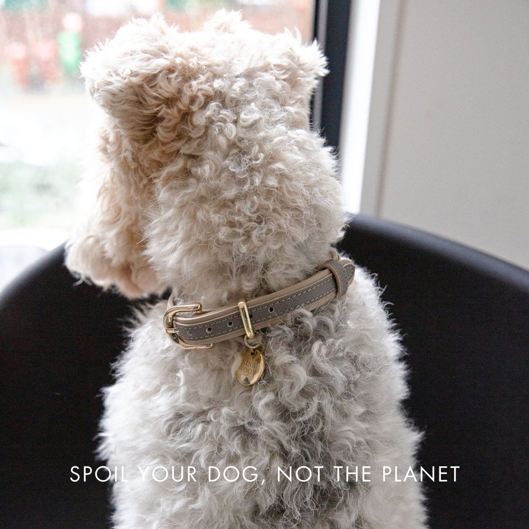 Collar - Vegan Leather - London