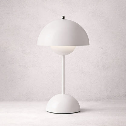 Portable vp9 Desk Lamp
