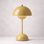 Portable vp9 Desk Lamp