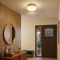 Moor Flush Mount Ceiling Light