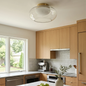 Moor Flush Mount Ceiling Light