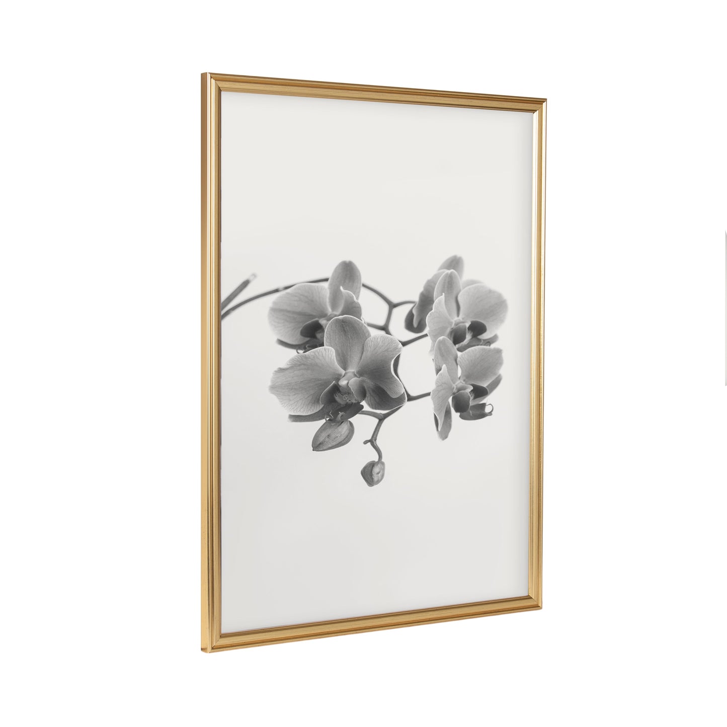 Adlynn Photo Frame Set