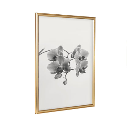 Adlynn Photo Frame Set