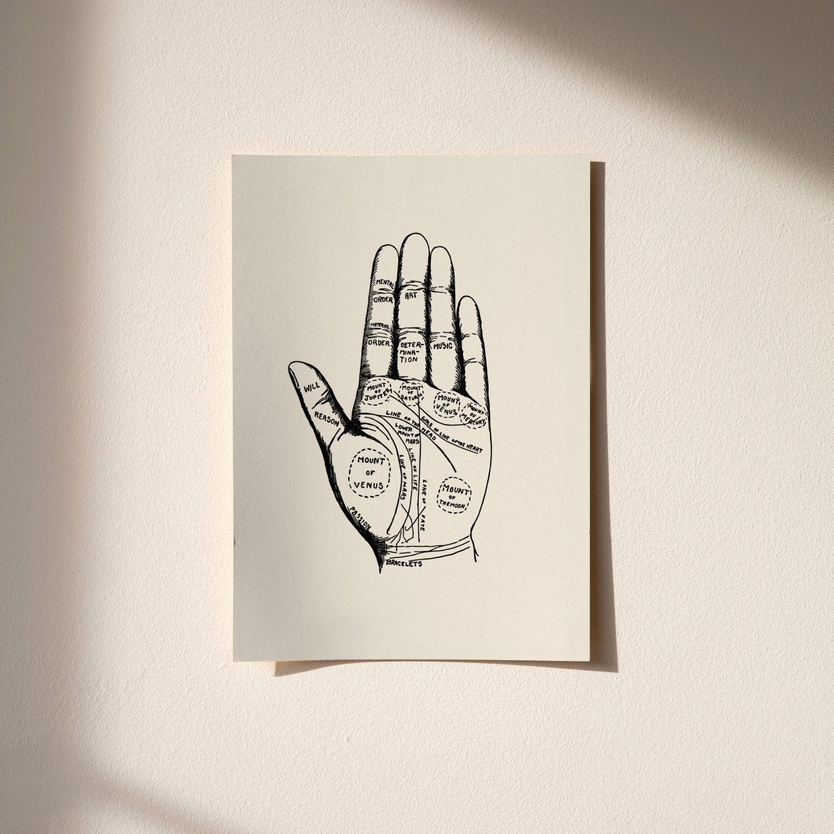 “Palmistry” Vintage Art Print