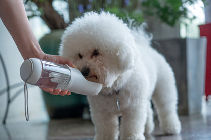 Pet Life ® 'PYURE' Handheld Travel Filtered Water Feeder