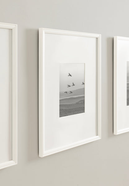 Adlynn Photo Frame Set