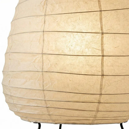 Akari Semi Oval Shape 1N Table Lamp