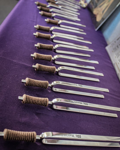 16 Vibrational Harmony Tuning Fork Set with Travel Case