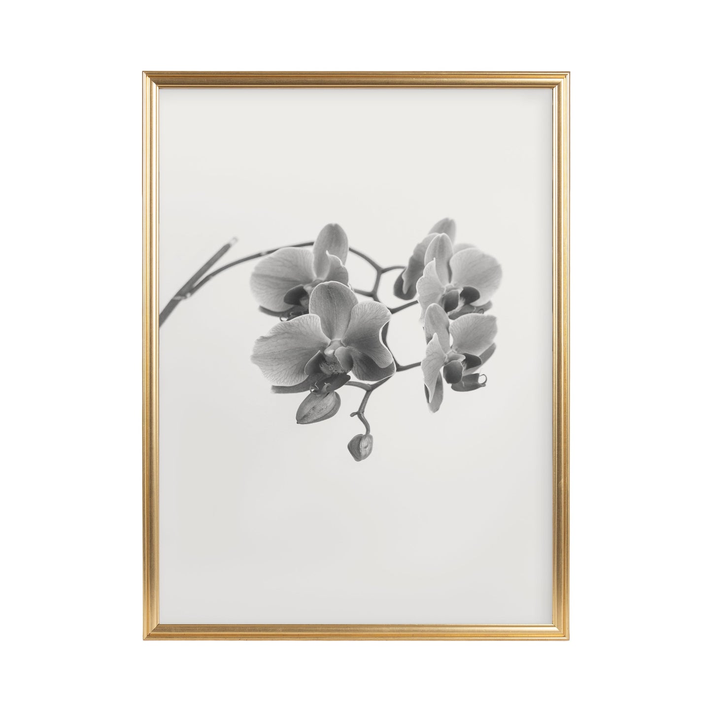 Adlynn Photo Frame Set