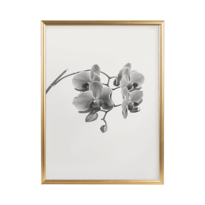 Adlynn Photo Frame Set